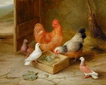 unknow artist Cocks 107 Spain oil painting art